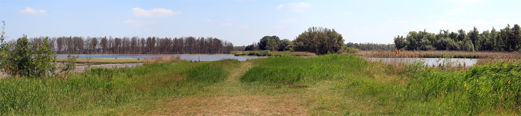 Nationaal Park De Biesbosch (Pays Bas) Juin 2011 - Vue panoramique