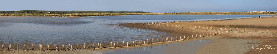 Anciens marais salants à la Sansouïre (Frontignan - Hérault - France) - Vue panoramique