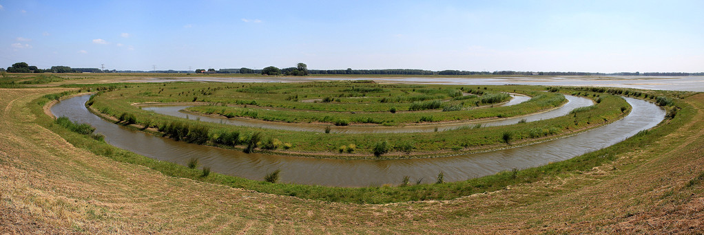 Nationaal Park De Biesbosch (Pays Bas) Juin 2011 - Vue panoramique