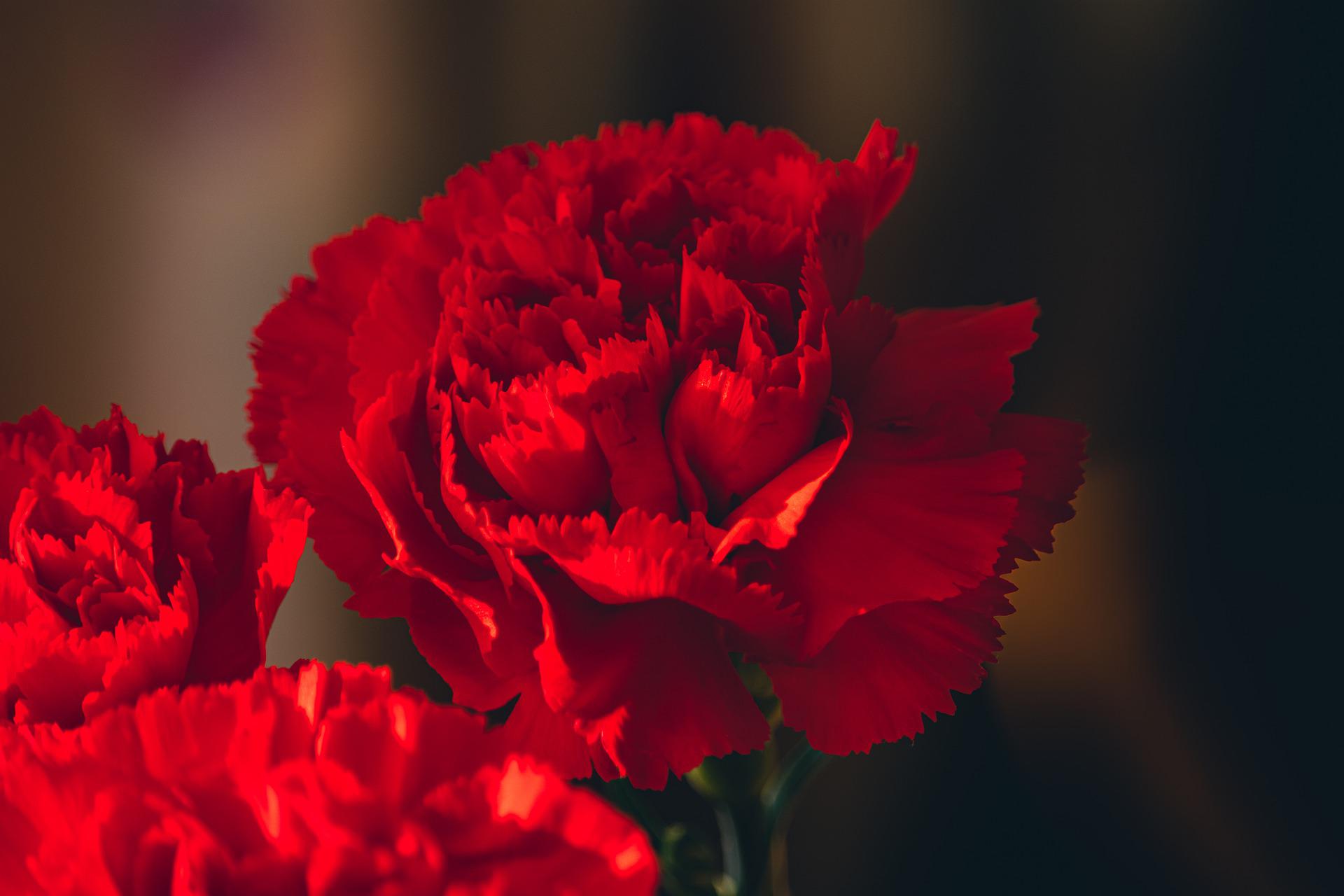 Happy Mother's Day 母の日