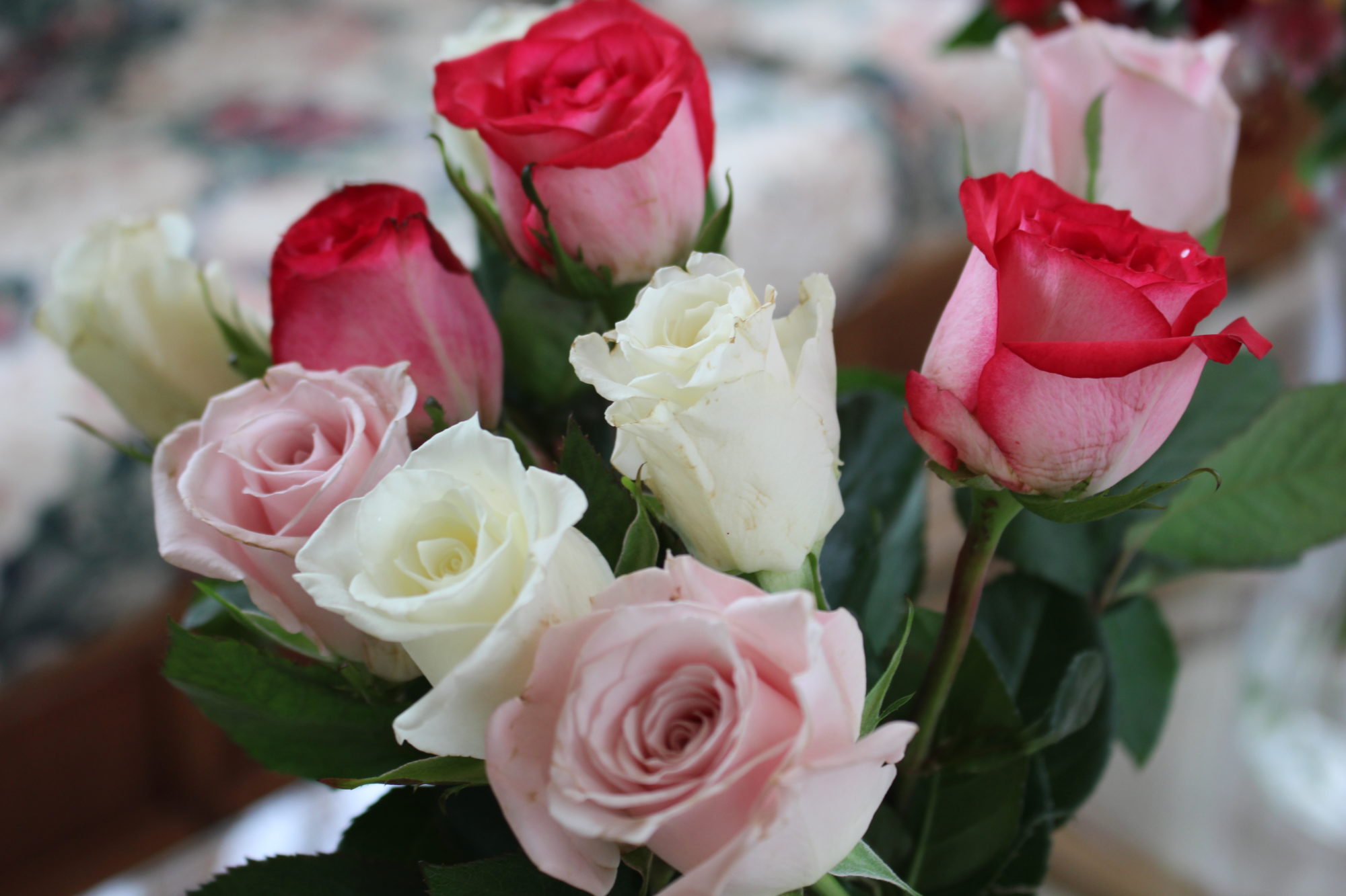 Happy Valentine's Day! バレンタインデー