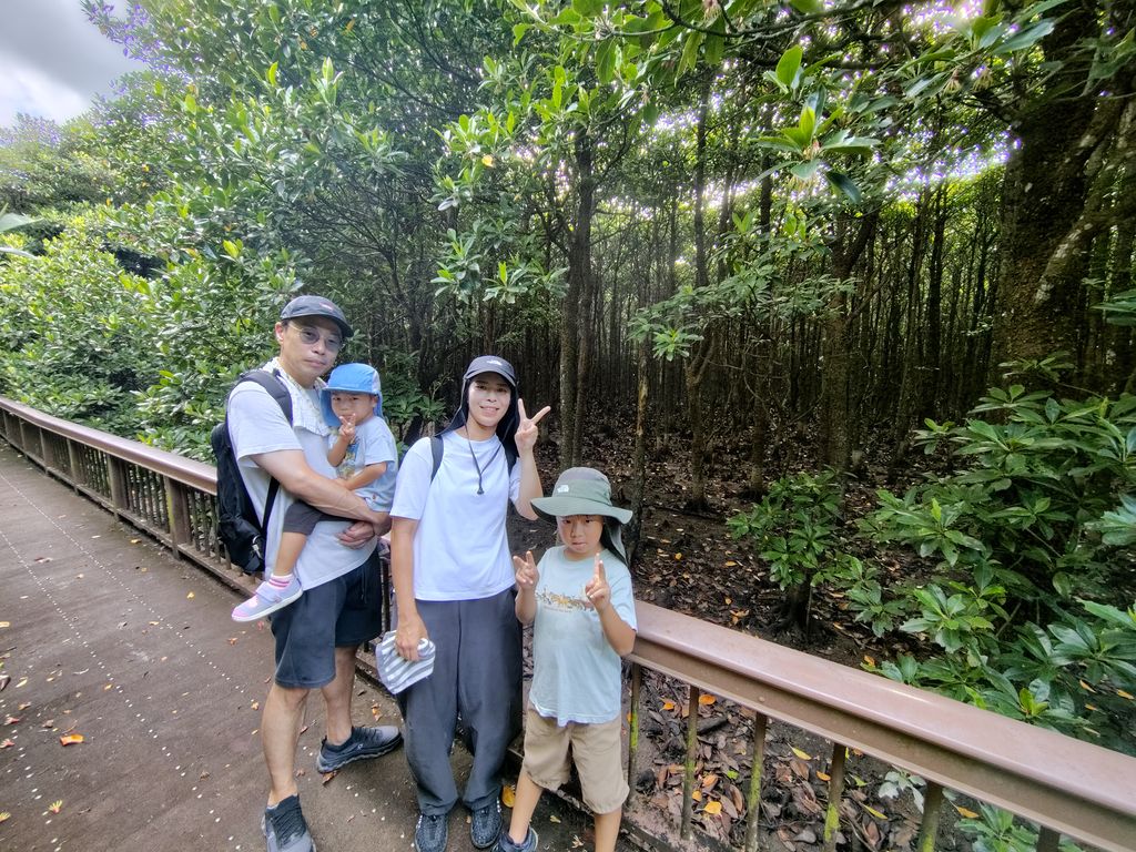 10月16日、マングローブの生き物に接近！