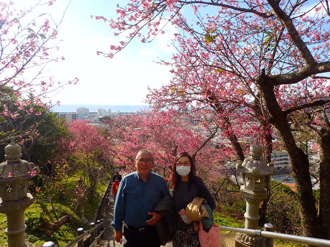 1月30日、満開のお花見さんぽ！