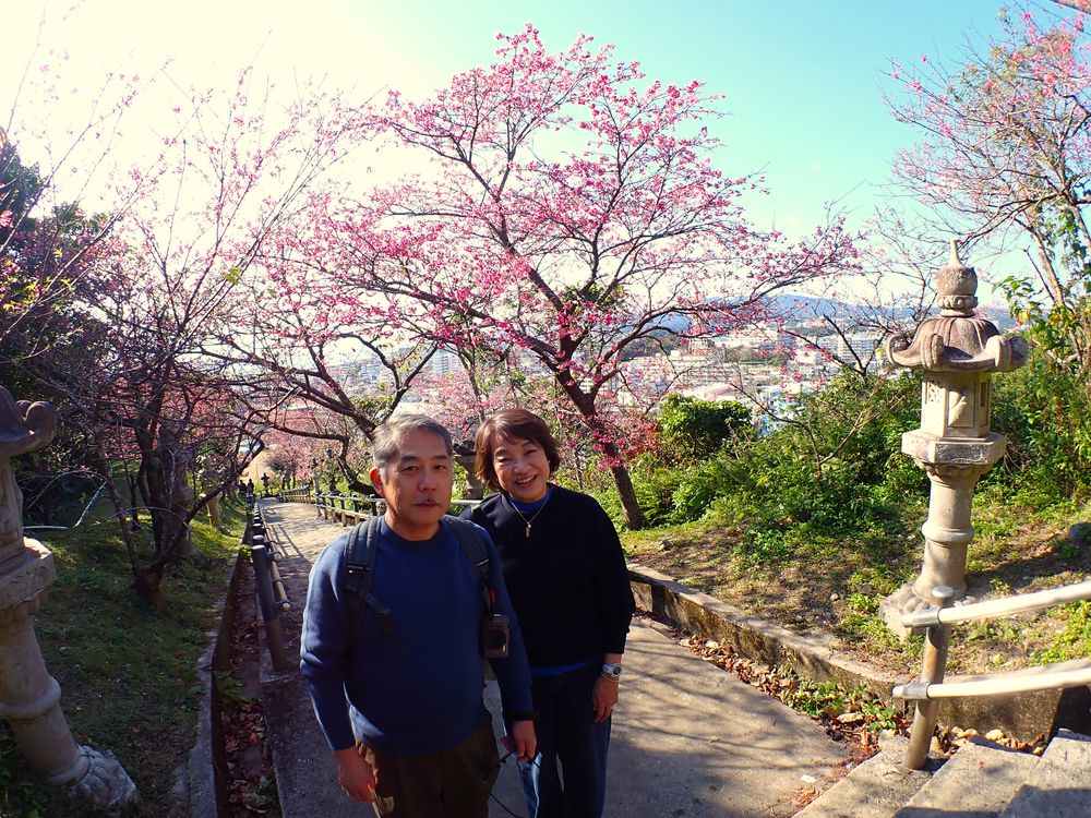 1月30日、日本一早いお花見さんぽ♪