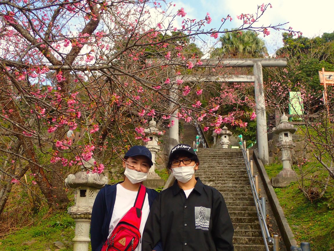 1月24日、今が旬のお花見さんぽ！