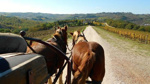 esperienze umbria escursioni fantastiche in umbria con bimbi in umbria estate in umbria vacanze agosto in umbria