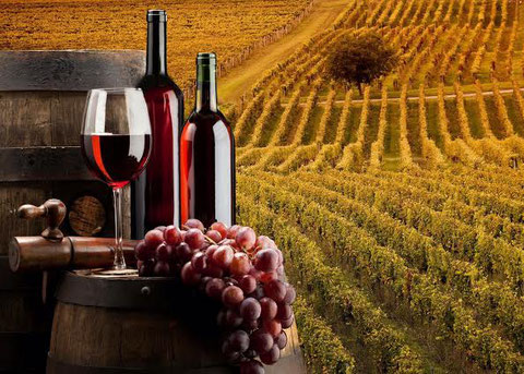 vini in umbria assaggio vino umbra tour enogastronomico umbria sorprendimi umbria escursioni pacchetti alloggi umbria