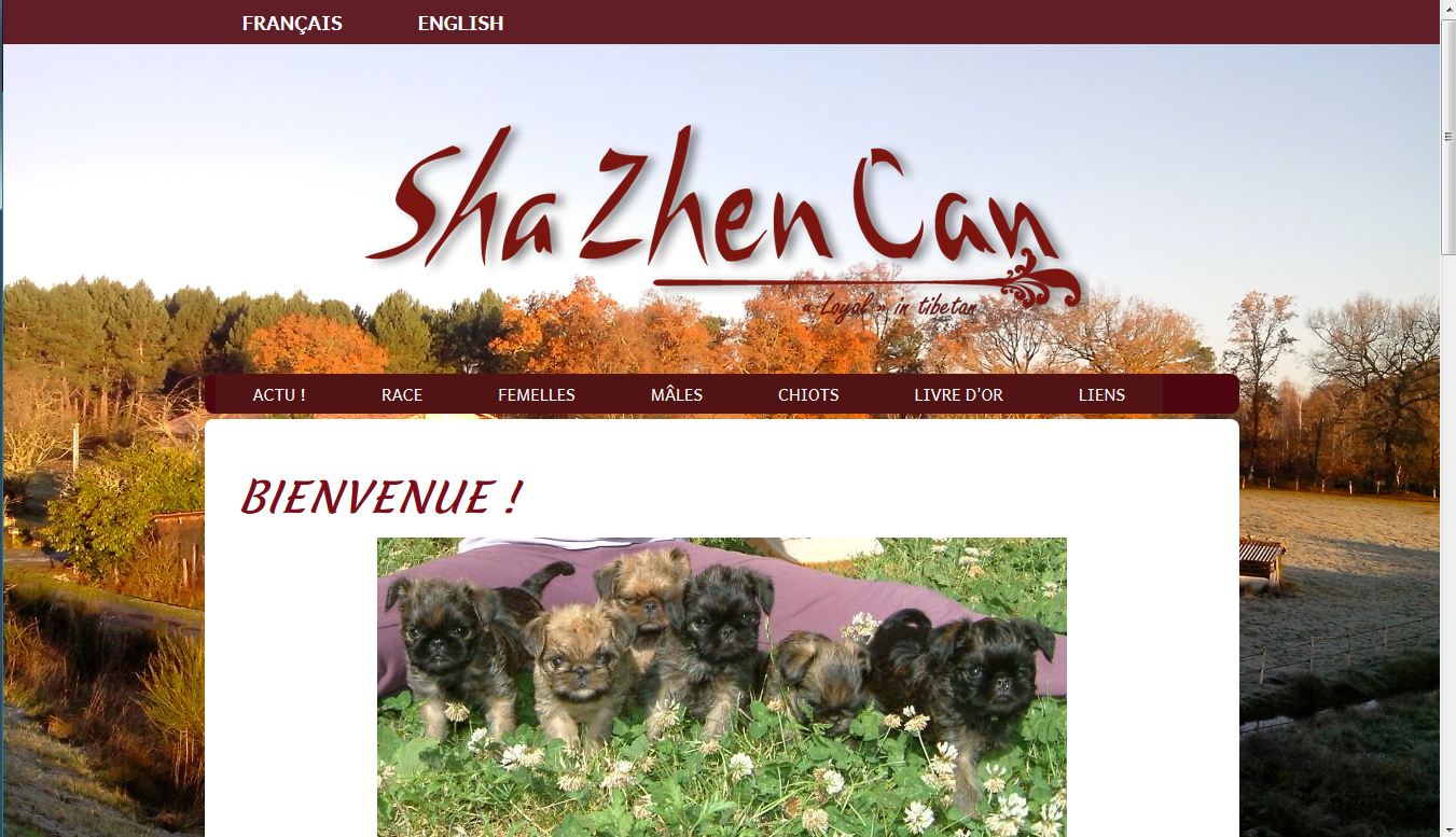 Site web de l'élevage Sha Zhen Can - 2017