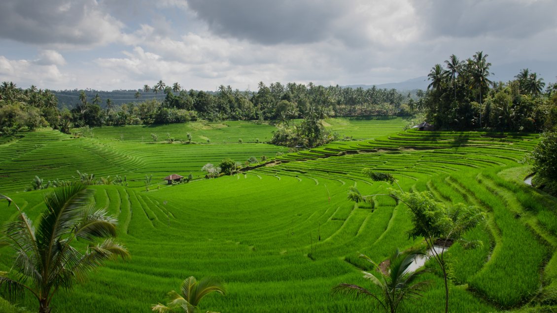 Ubud Bali