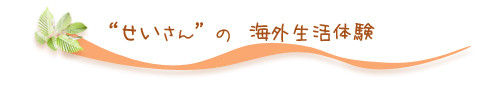 "せいさん"の海外生活体験