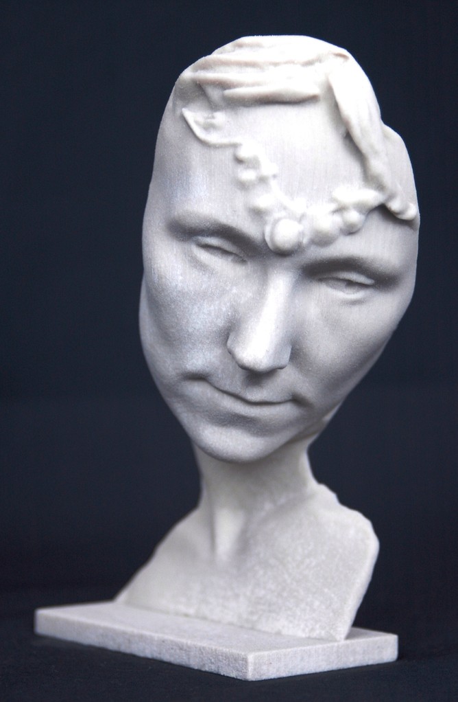 3D bust 