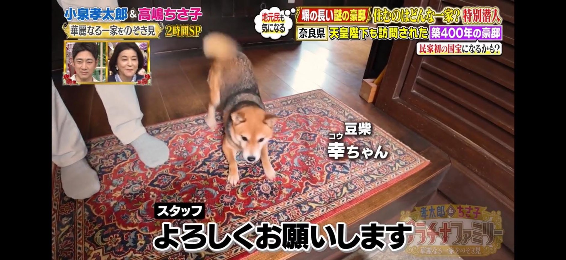 テレビ朝日系バラエティー『プラチナファミリー華麗なる一家をのぞき見　2時間SP』