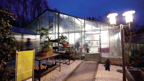 Minoru Bonsai Center