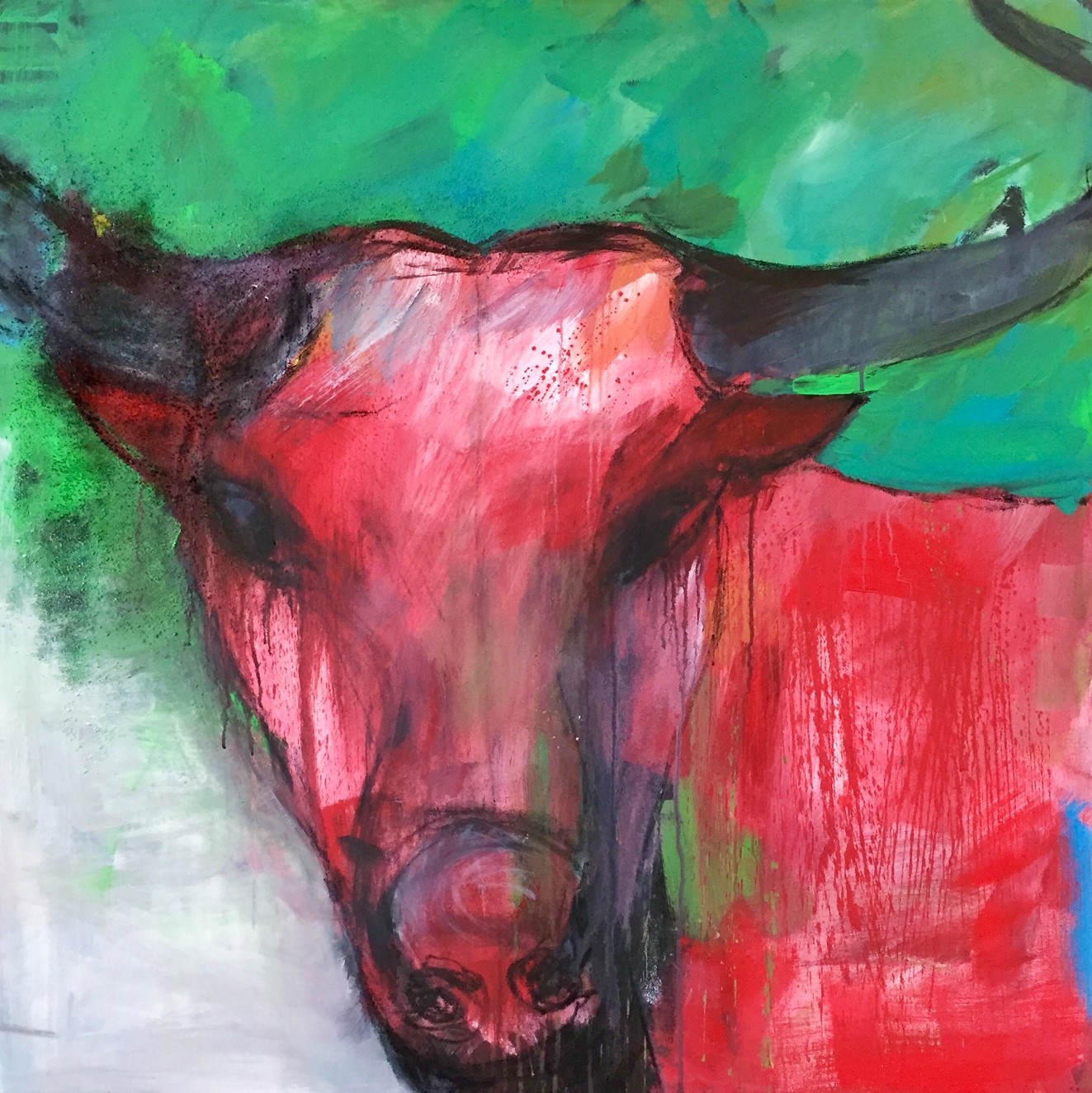 Stier, Acryl auf Leinwand, 100x100cm