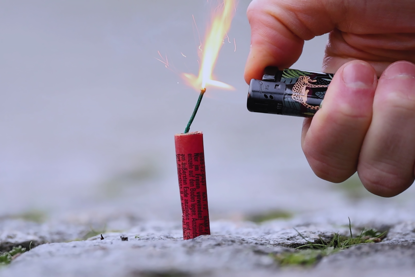 Foto: NABU/Jan Piecha