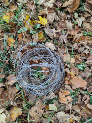 Stacheldraht entfernen