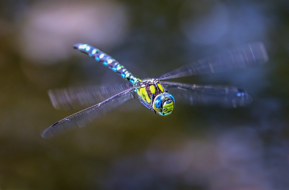 September: Foto: Kurt Schröder