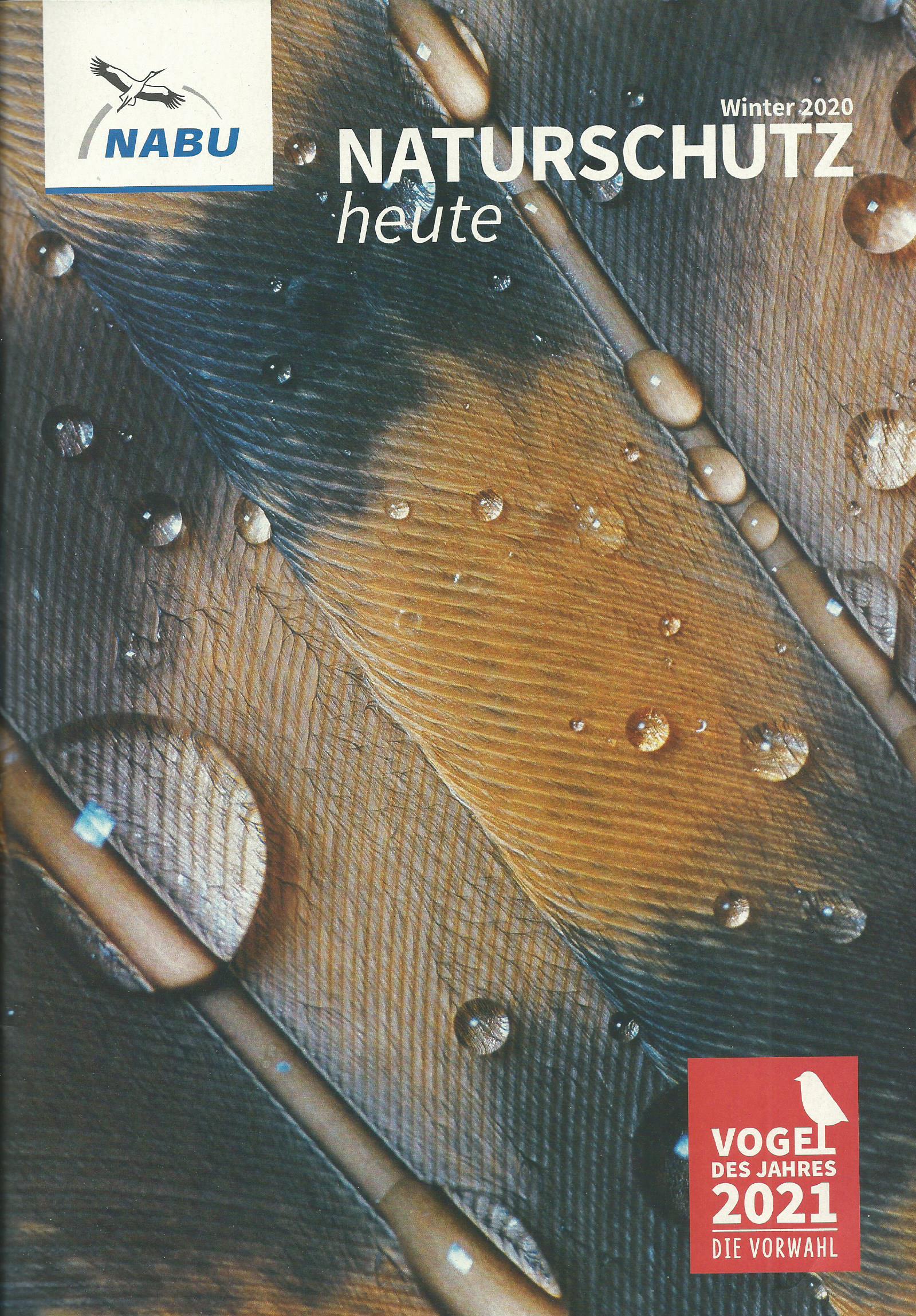 Foto: links, Programmflyer mit Veranstaltungstipps, rechts, die Verbandszeitschrift "Naturschutz heute"