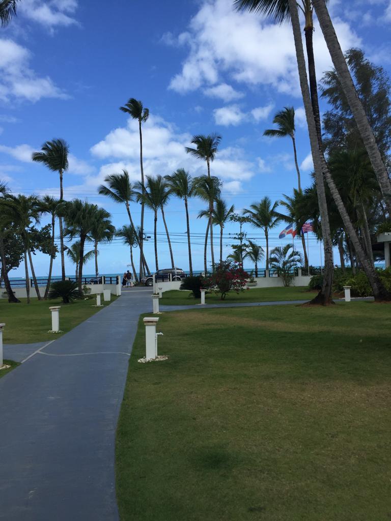 Dance the Joy - Las Terrenas Urlaub - DomRep - Gabriele Schlick