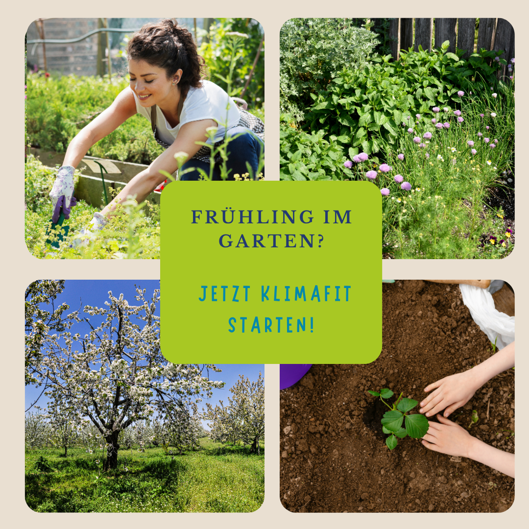 Klimafitter Garten - Vorsorge für den Sommer