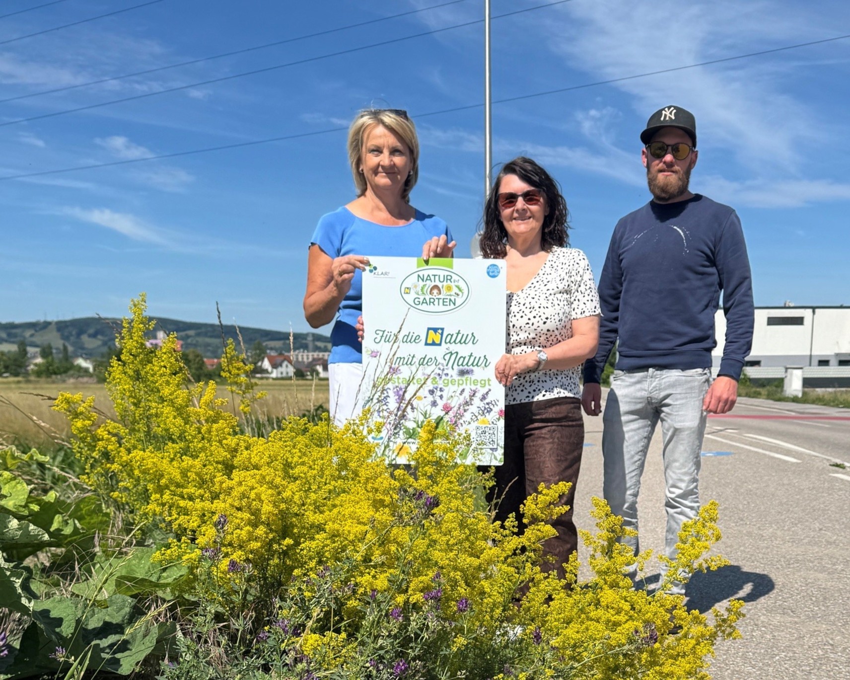 Biodiversitätsstreifen in Bisamberg blühen
