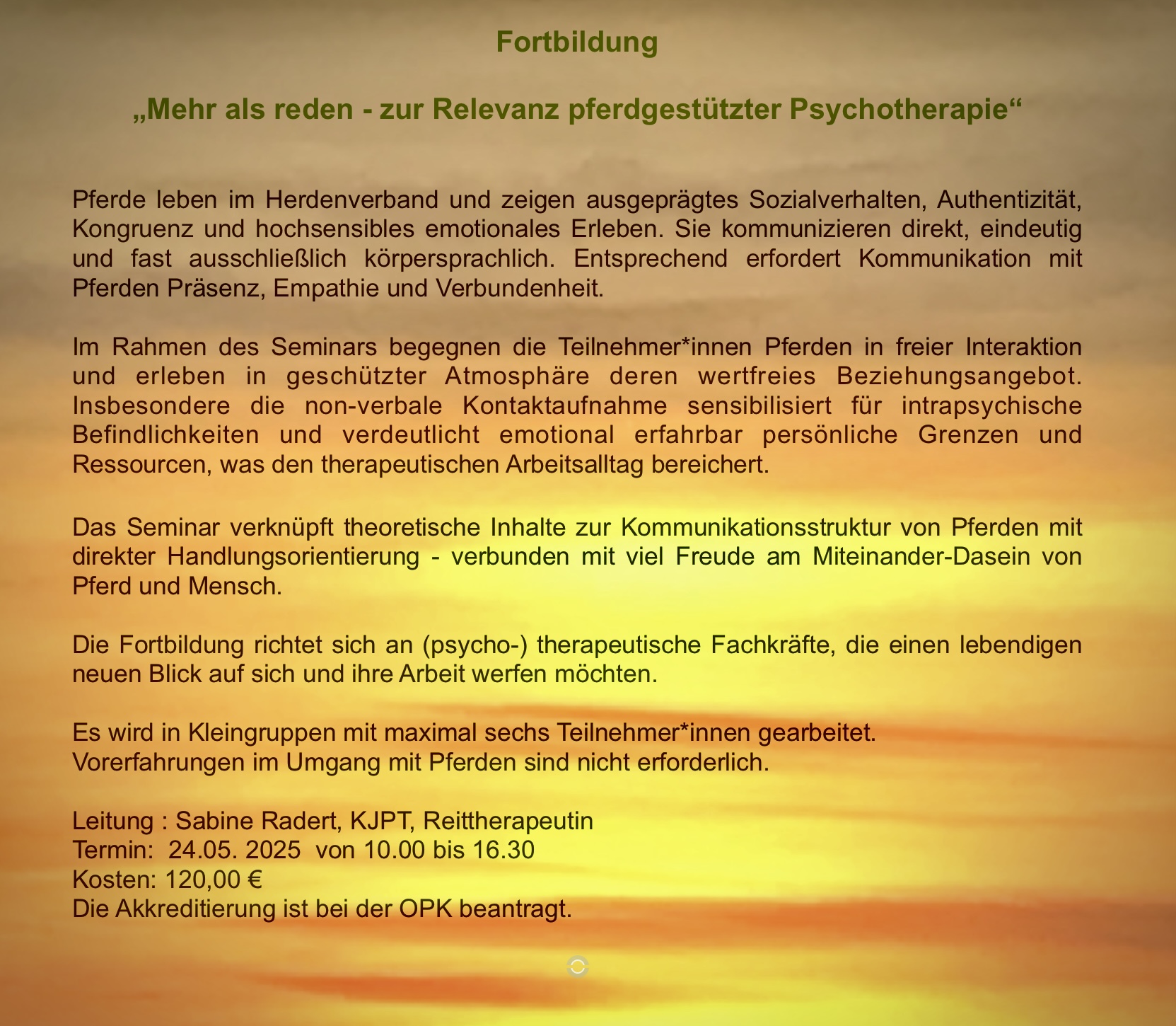 Fortbildung für Psychotherapeut*innen: 24.05.2025