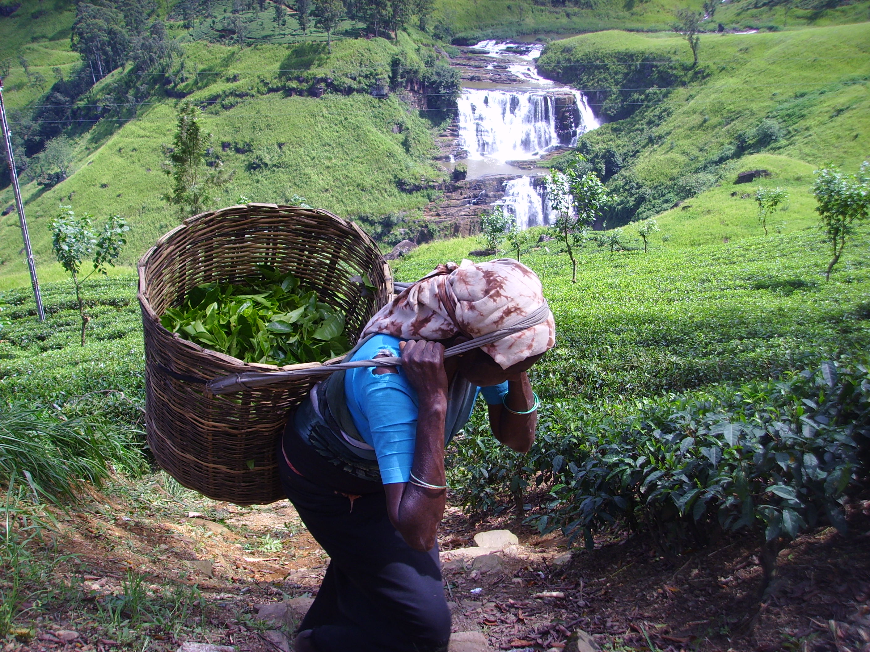 Sri Lanka