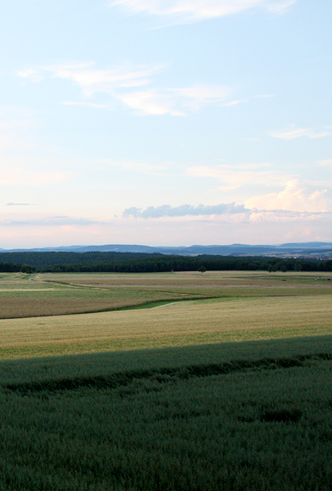 Then-Landwirtschaft Region