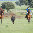 Campo Charro