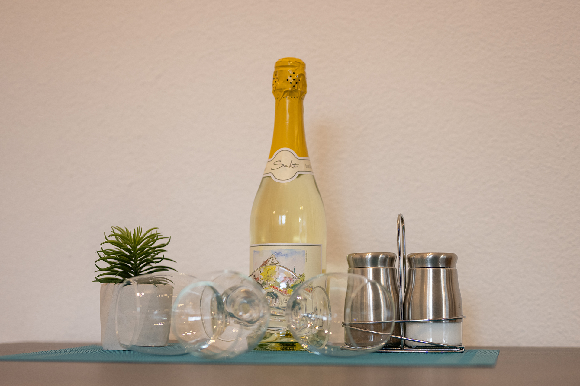 Holiday apartments on Lake Constance: Apartment House Markdorf, Apartment 4