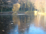 Hofwaldteich