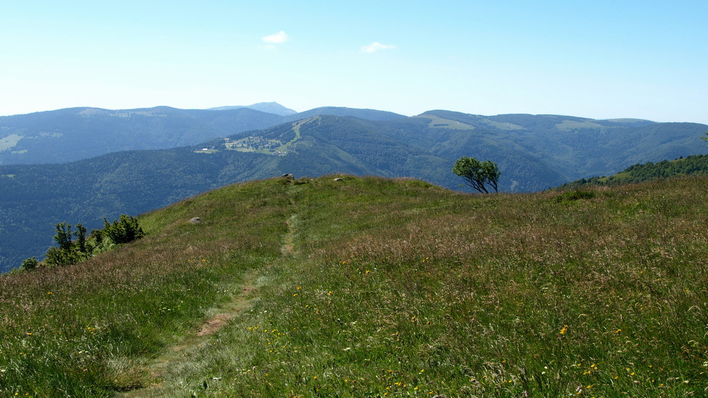 Schnepfenried et Grand Ballon