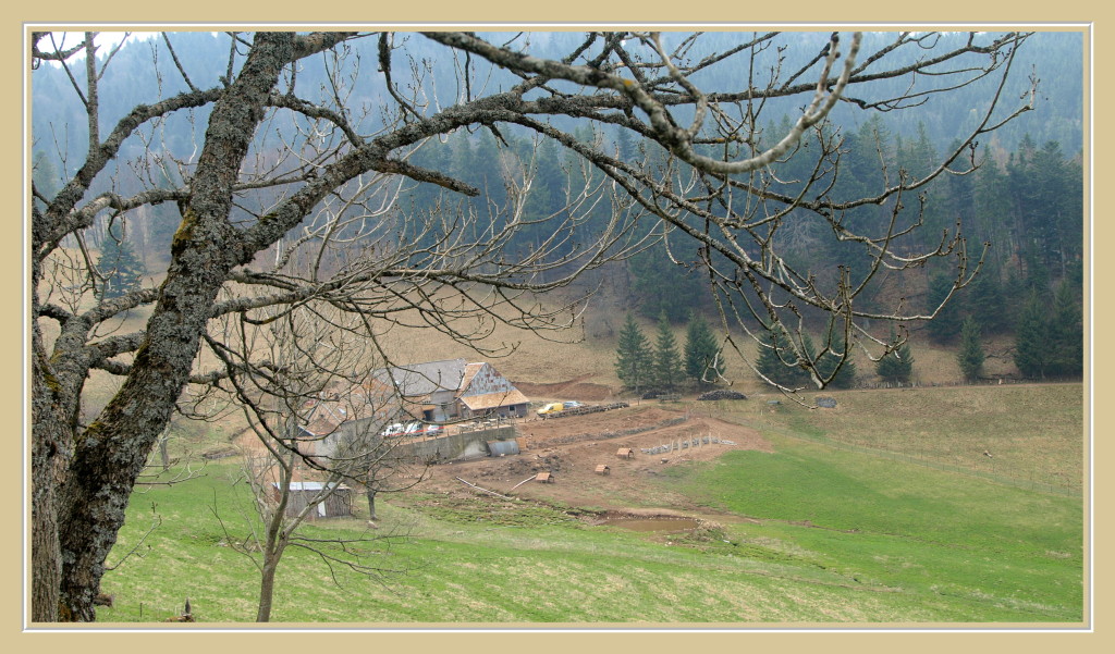 Ried Sondernach