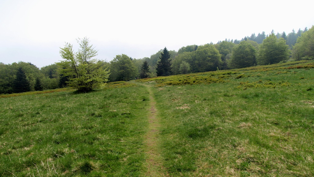 Chaume du Champ du Feu