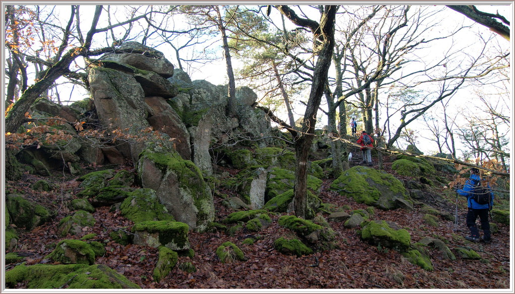 Rocher de l'Ehrbergkopf