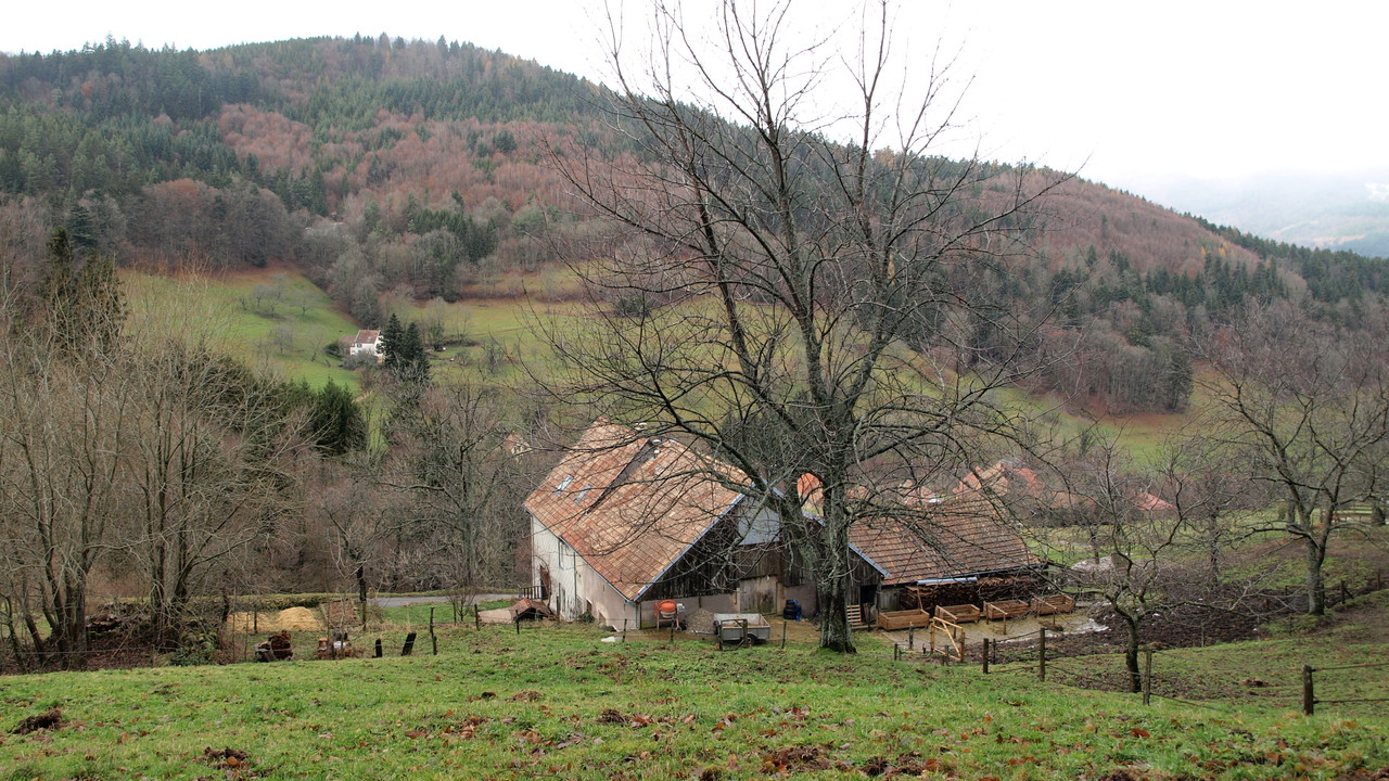 Oberbreitenbach