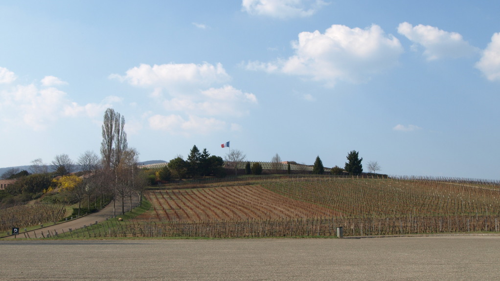 La nécropole de Sigolsheim