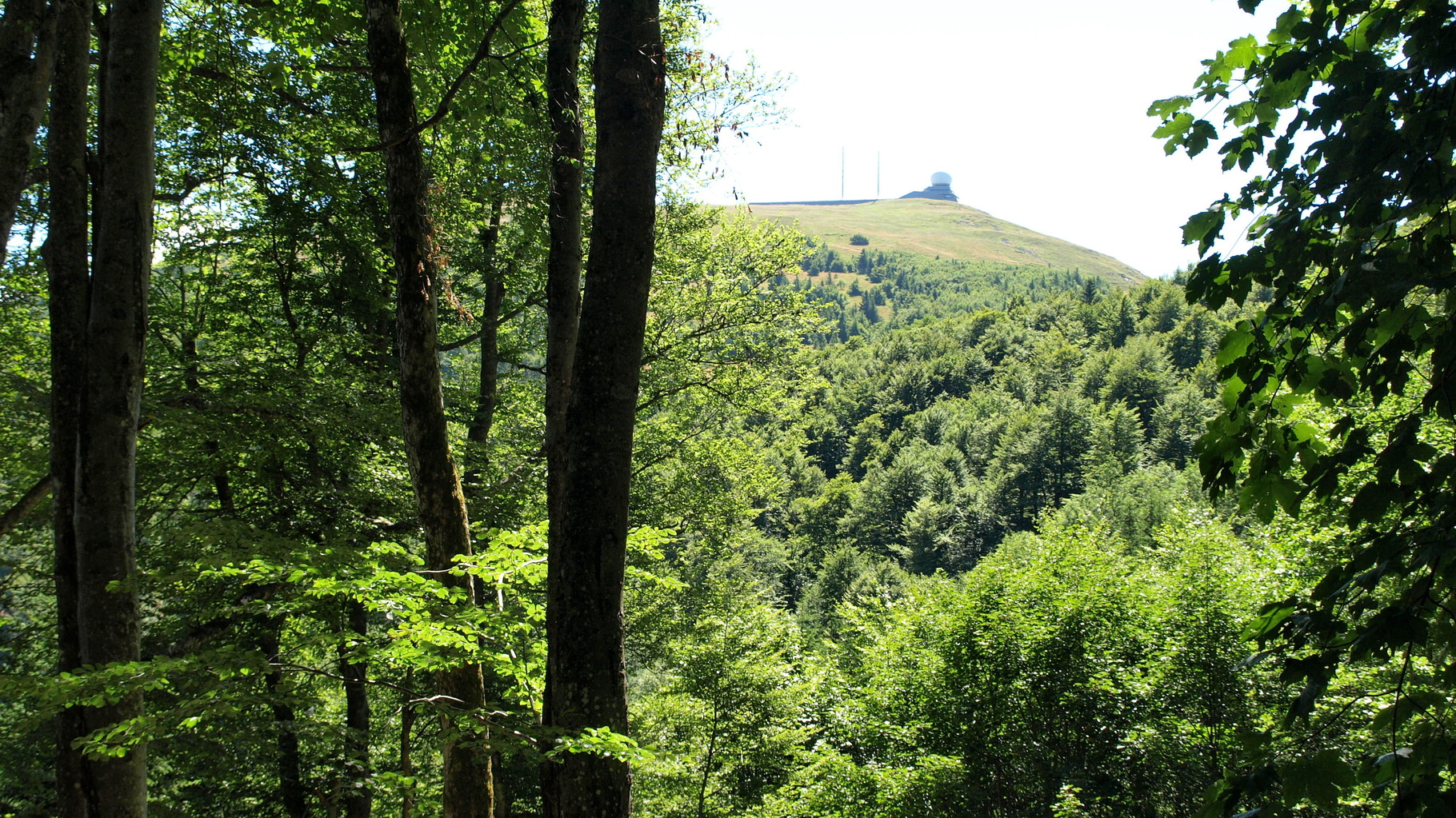 Grand Ballon