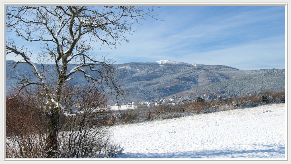 Le Bickenberg, vue sur le Petit Ballon