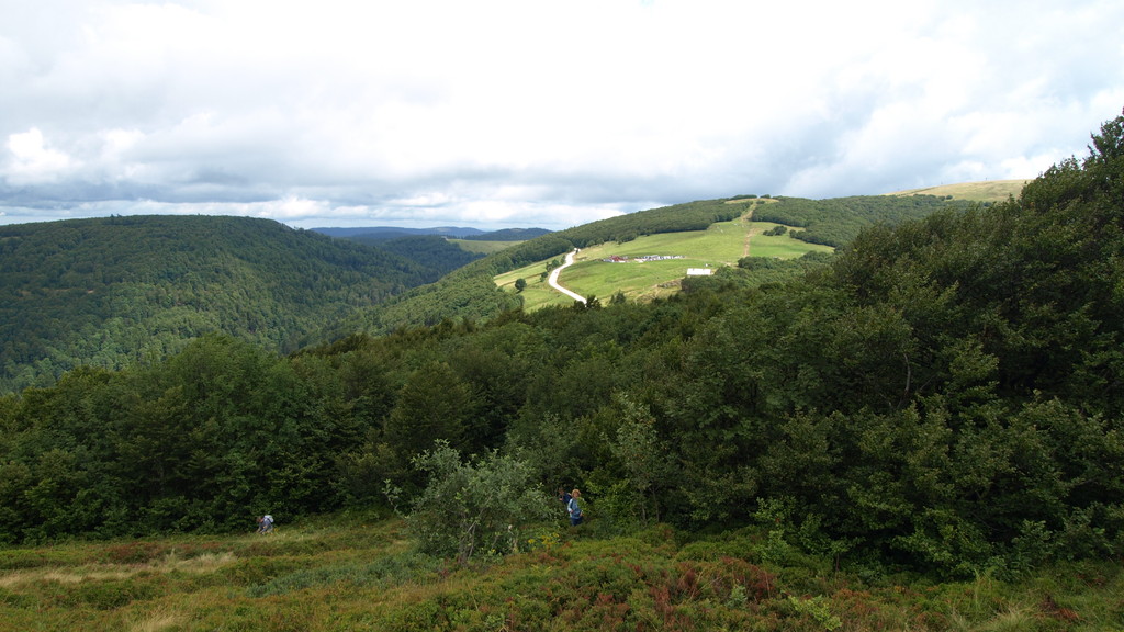 Collet du Rainkopf, vue sur Firstmiss