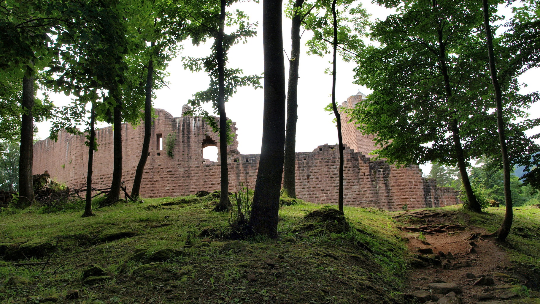 Château de Wangenbourg