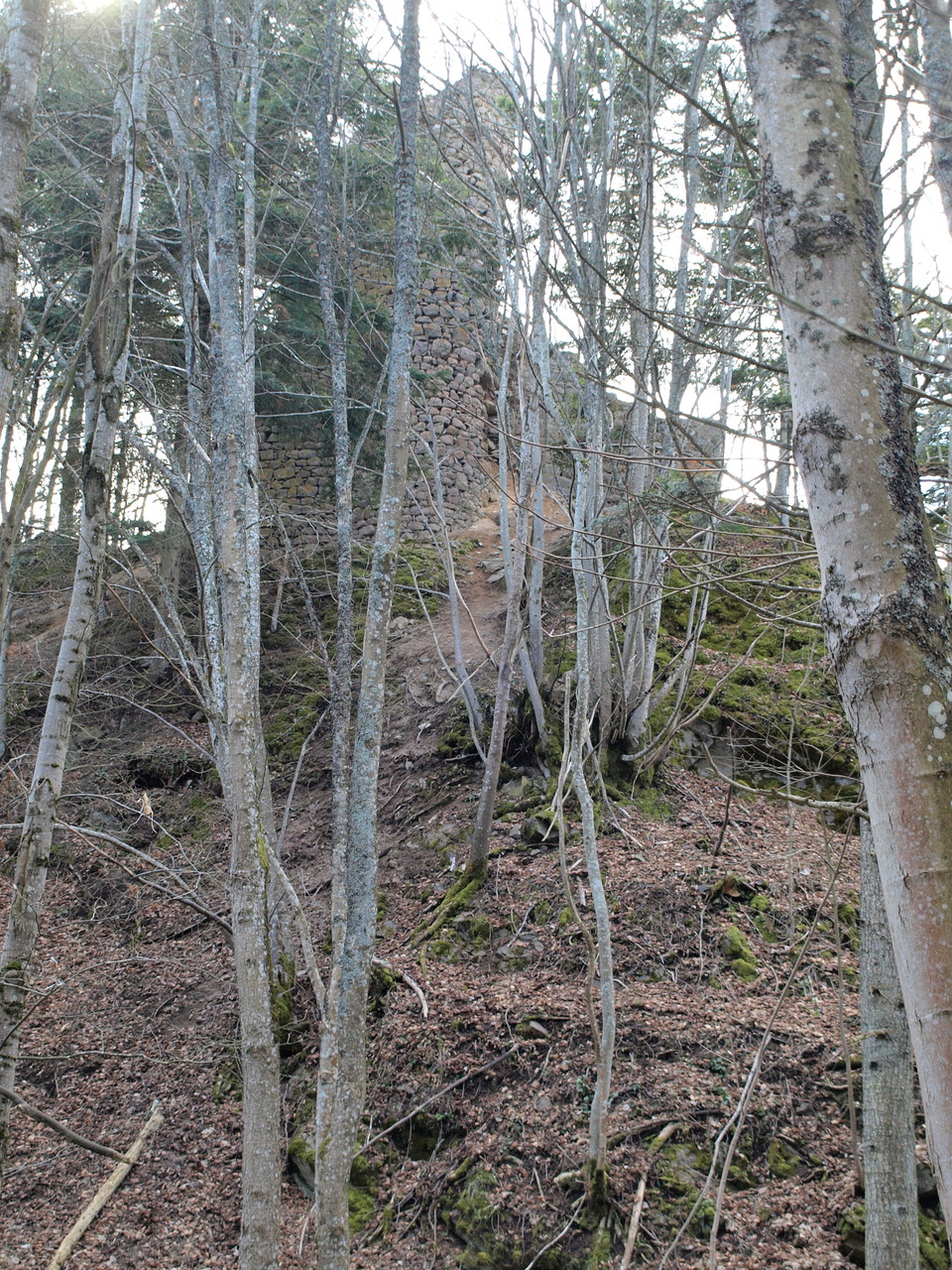 Ruines du Strohbourg