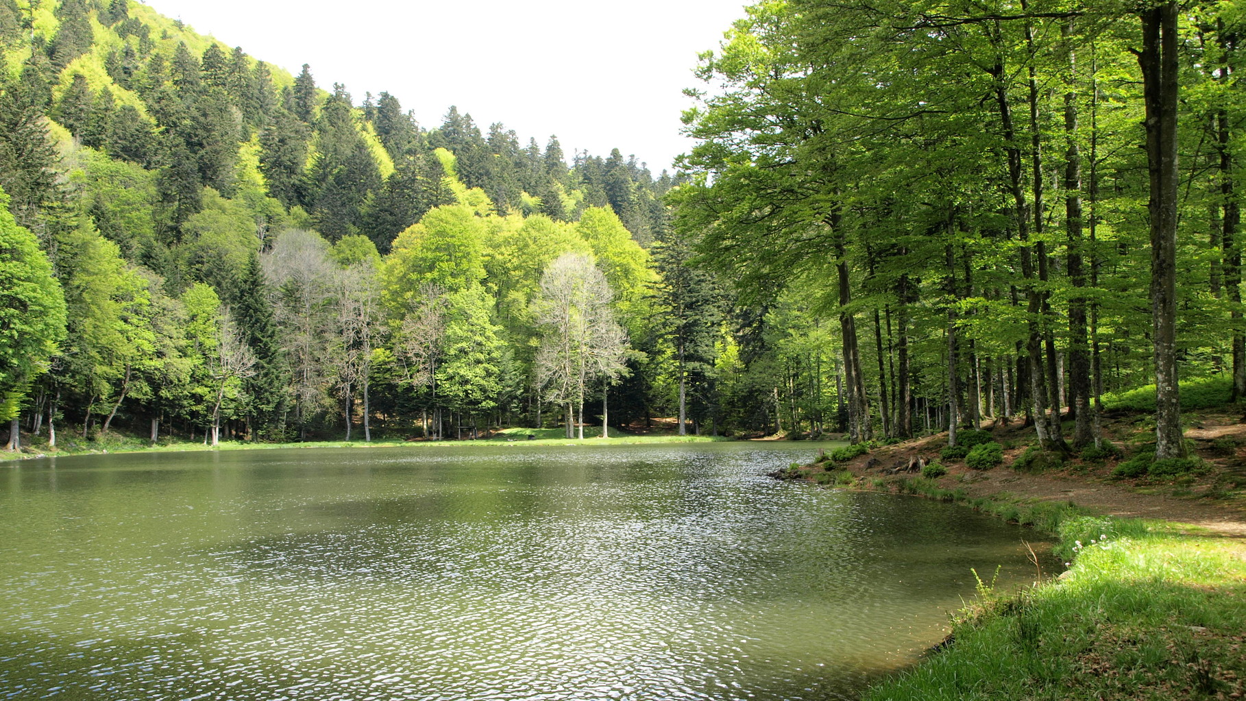 Etang des Belles Filles