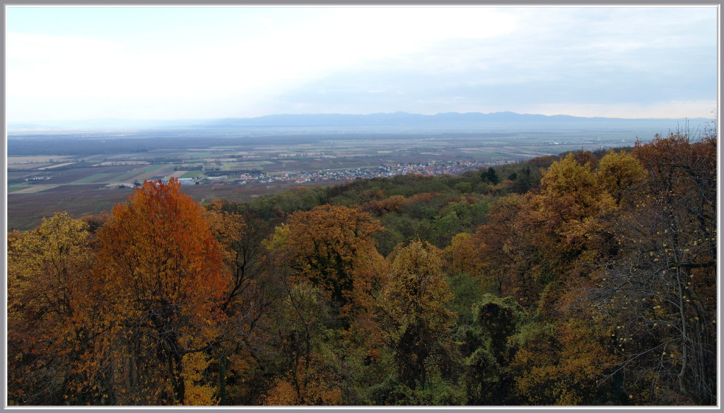 La Plaine d'Alsace vue du Schauenberg