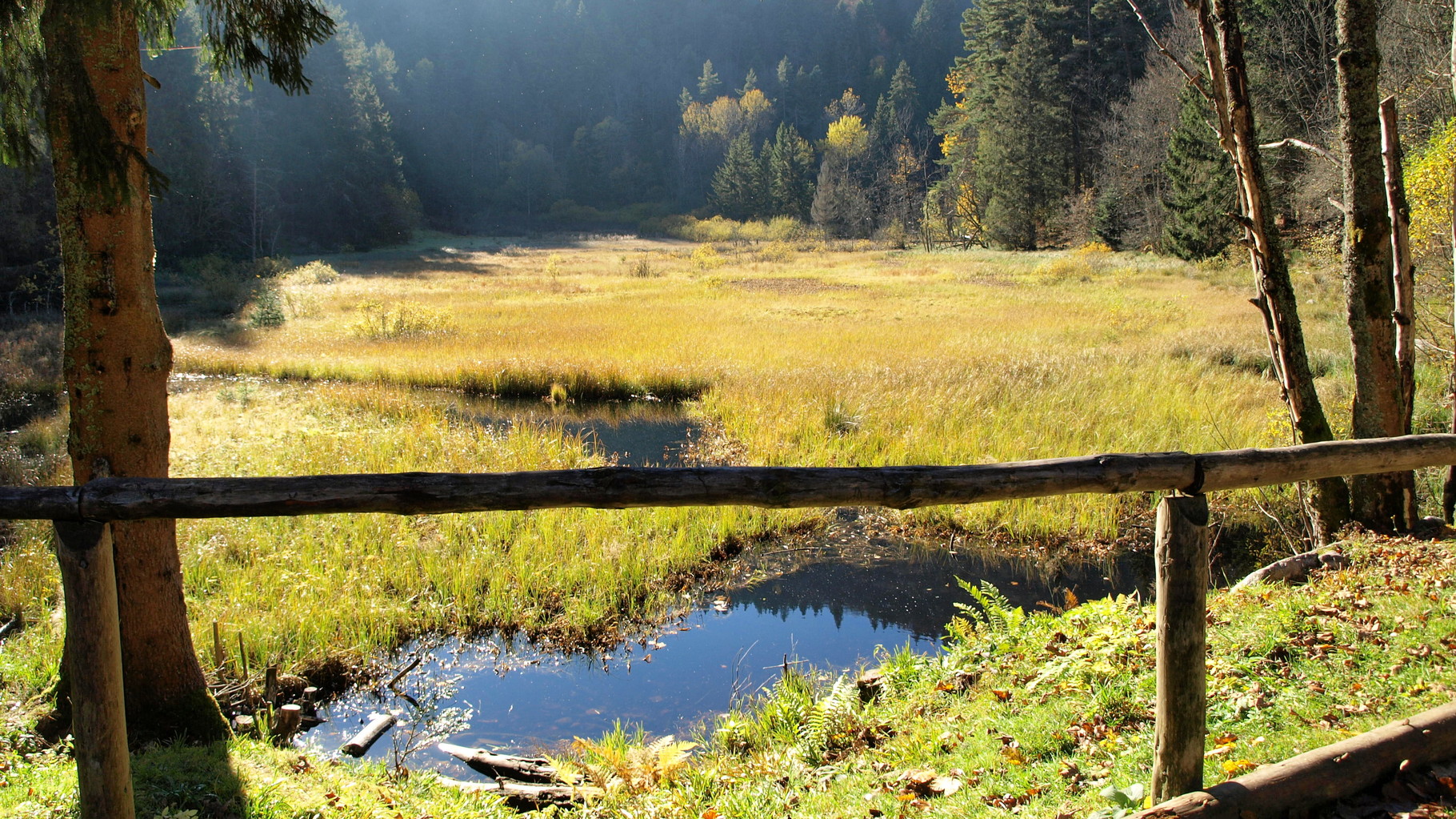 Etang du Devin