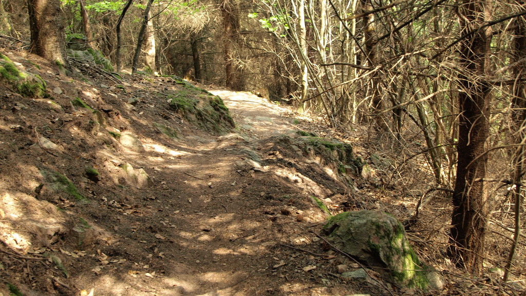 Vers le col de Wolfsgrube