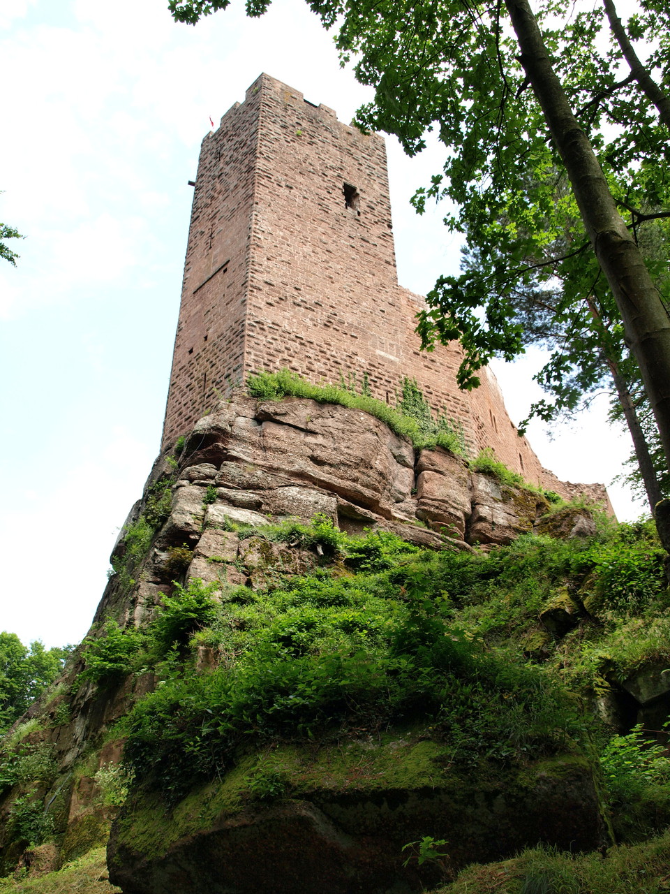 Château de Wangenbourg