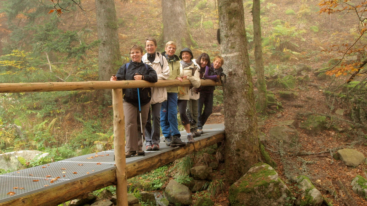 Pont sur le Rimbach