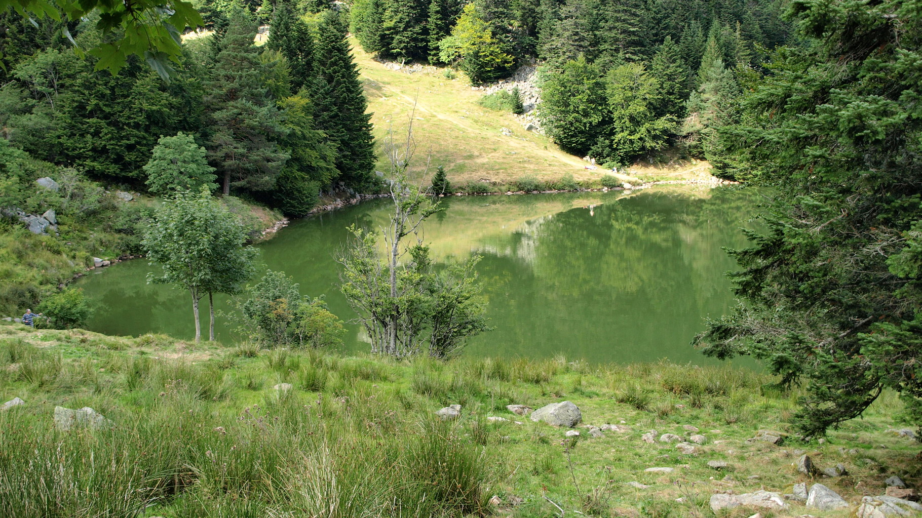 Lac du Forlet