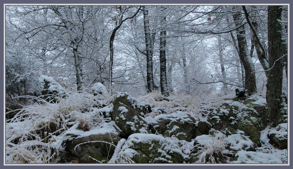 La Hohe Schwaerz en hiver